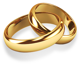 Rajakumari rings